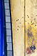 Golden Blue